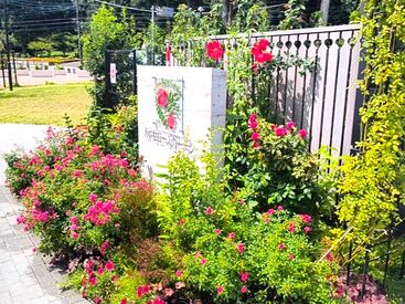 光綾公園あやせローズガーデン のどかな環境の中で新しいガーデン作りに携われます♪
「さがみ野」駅からバスで15分
「観音入口」停留所下車
※画像はイメージ