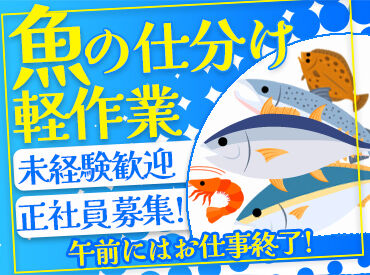 株式会社魚繁 市場の商品を割引価格で購入できます♪
申請ナ食材を安く手に入れることもできて一石二鳥◎