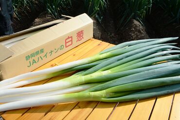 地元の農作物や特産物に携わりながらお仕事！
あなたが仕分けしたお野菜が、地域のみんなのもとに届くんです♪