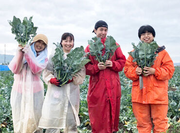 【札幌近郊エリアで農家さんのお手伝い】
道具の使い方から丁寧に教えます！
初めての農作業にいかがですか？