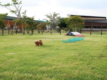 ★未経験者歓迎★
カタいマニュアルはありません◎
愛犬のお話をするのも楽しいです♪