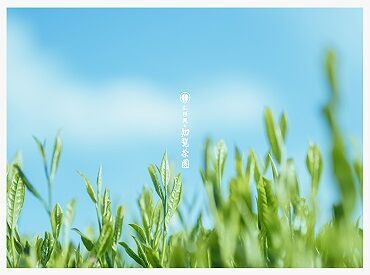 「これはどんな商品?」と
まだ知らないことをお客様に聞かれた際は…
先輩スタッフにバトンタッチでOK!