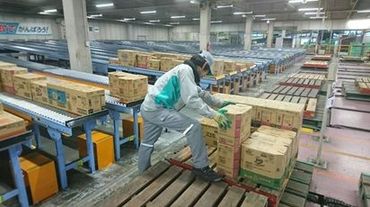 花王ロジスティクス株式会社　鹿児島センター スタッフ同士で会話することも多く
「働きやすくて続けやすい」と長期で働く方も多数！
自分のペースで無理なく働けます◎