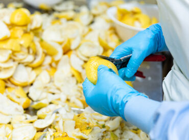 株式会社コジマヤ 生産者さまの顔が見えます 安心安全な、
瀬戸内産レモンを加工しています！ 