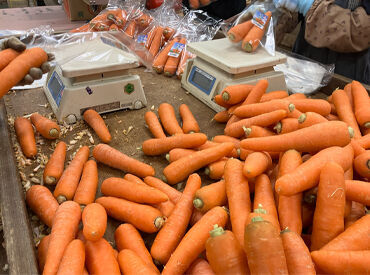 有限会社有吉農園 袋詰めなので簡単でシンプルな作業◎
家庭の予定やお子様の熱による
急なお休みも
気軽に相談してくださいね＊