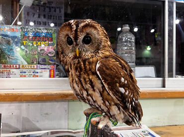 だんだんなついてくるのが嬉しい♪
焦らずゆっくりで大丈夫です!