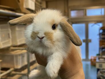 石原鳥獣株式会社 専門学生だった方もいます！
シフトの融通◎15時までやお昼から夕方までなど様々！