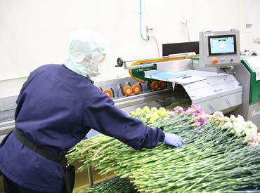 バロー可児青果センター 主婦(夫)・フリーターさん歓迎！
最初は先輩スタッフと一緒に進めていくので、
未経験の方でも安心して始められます◎