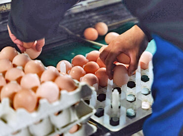 事前に専門知識や、スキルは一切不問◎
普通自動車運転免許（AT限定OK）があれば
どなたでも応募を歓迎します★