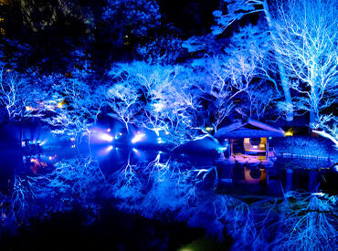 美しい庭園に囲まれながら非日常体験を味わえるのも八芳園ならでは！
未経験から始めた先輩もたくさんいます◎