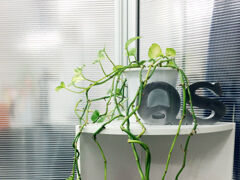 ★交通費全額支給★
通勤費用は会社が全額負担！
遠方からでも安心して通勤可能です♪