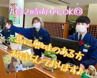 馬にほぼ触れた事がない方も大歓迎です◎
まずは、少しずつお仕事に慣れていく所から♪
