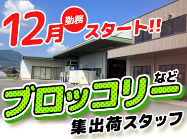 香川県農業協同組合 協栄集荷場 基本AMだけ♪【 8:30～12:00 】
服装・髪は自由◎動きやすい恰好でOK♪
お子様の授業参観や帰省など
家庭事情のお休みも相談OK★