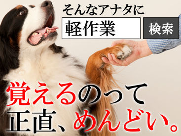 株式会社ヒューマンジャパン 札幌オフィス ＜優しい先輩が新人さんをフォロー＞
業界未経験の方でも丁寧にお教えします♪
まずは現場の雰囲気に慣れる事から*