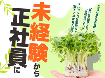 三和農林株式会社　本社・蓮田農場 ＼未経験の方大歓迎／
当社はお客さまに安全・安心な野菜をお届けすることを心がけてます！
やりがいを感じられるお仕事です◎