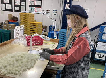 お仕事が分からないときはもちろん
先輩ママさんが家庭の悩みの
相談を聞いてくれることも*
優しく安心できる環境です♪