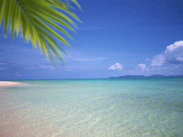 扶養控除内での勤務もOK!ブランクのある主婦(夫)の方も活躍できますよ◎仕事はイチから丁寧に教えていくので安心♪