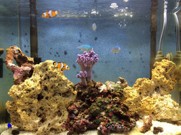 月4回の勤務からOKなので、
学校やサークル、副業で忙しい方も、
はじめやすいですよ♪