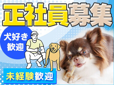 株式会社GSR 小型犬に囲まれて仕事ができる環境！25年5月にできたばかりなので綺麗で働きやすさ◎