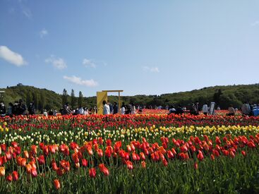 植物や木の手入れをしたり
イベントやボランティアのお手伝いなど…
穏やかな環境で人や自然と触れ合えます♪