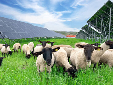 経験・知識は一切問いません！
未経験の方もイチからサポートするので、
安心して飛び込んできてくださいね◎