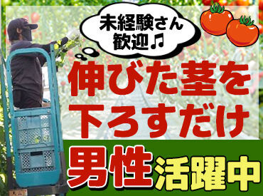 その他業務も多数♪
茎ずらし・袋詰め・お世話係等
働きやすさに合わせて、決定ができます。
