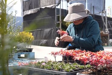 花と緑 谷川緑販 ◎働きやすさのPOINT◎
⌒⌒⌒⌒⌒⌒⌒⌒⌒⌒⌒⌒
・シフトが柔軟
・スタッフ同士の関係がいい