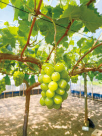 ◆◆ 私生活と両立して働ける ◆◆
予定・家事・学校など…
生活サイクルにあわせて勤務OK♪
無理なく働けるのが魅力です◎