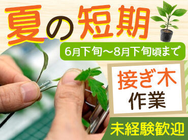 ベルグ福島株式会社 【未経験大歓迎★】
お仕事はイチから丁寧にお教えします！
農業未経験でも問題ありません◎
未経験スタートの方がほとんど！