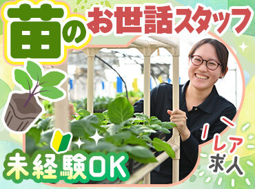 株式会社岩倉種苗店 野菜の苗づくりに関わるお仕事をお任せします◎
社員スタッフが作業の指示を出すから、
初めての方でも安心してスタート♪