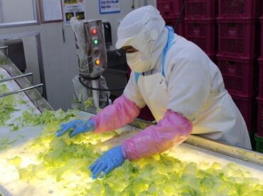 黙々作業がお好きな方大歓迎!
"普段料理をしないのにできるかな"
なんて心配な方もご安心を◎