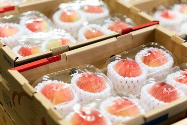 *株式会社ローカル*
九州の特産品を扱うECサイトから始まった私たち。
41自治体のふるさと納税も手掛け、どんどん拠点を増加中♪