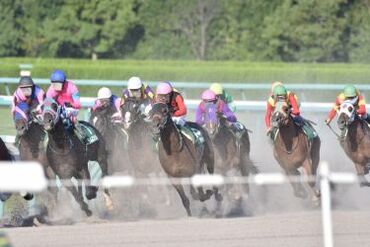 この時期人気の競馬案件もあり♪
詳細は原稿内注目ポイントに記載してます★
※写真はイメージ
