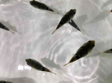 \座って作業♪足腰にも優しい!/
20~60代まで幅広く活躍中!
休憩中はコーヒー・お茶・茶菓子など
ご用意しています。