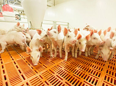 ＼未経験大歓迎！／
 過去には全く違う職種から転職してきたスタッフも多数。
研修＆サポート体制バッチリ◎