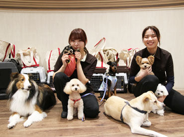 神戸ベイシェラトン ホテル＆タワーズ　SHERATON DOG 世界の「シェラトン」ブランド！
安定＆安心感を兼ね揃えた環境でもっと丁寧にワンちゃん達と向き合いませんか？