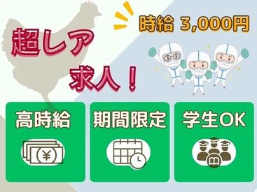 東洋ワーク株式会社 本社/009001-541-113099 12月~案内開始の大量募集予定です★
全員が初めましてなので始めやすさも人気となります◎