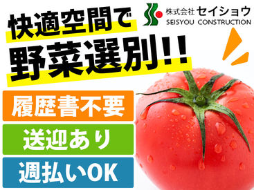 株式会社セイショウ　苫小牧営業所 働いた分は週払い可能★
急な出費が重なってピンチな時も、申請→お給料日前に収入をＧＥＴできます◎
※写真はイメージ