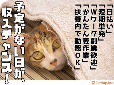 キャリアップ株式会社 京都支社/cu003 **学生・Wワーク・主婦(夫)歓迎**
高時給でガッツリ稼げちゃう♪
誰でもできるかんたん作業！