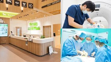 イオンペット株式会社　ペテモどうぶつ医療センター幕張新都心（686179） 【未経験歓迎】
人とのコミュニケーションやペットがお好きな方であれば、受付業務の経験は問いません！