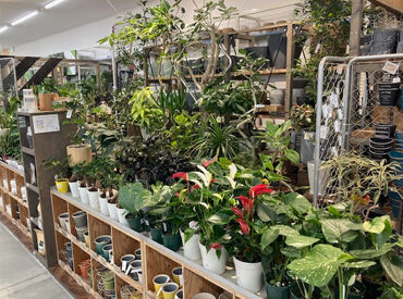 ロイヤルホームセンター日進香久山店 イチから丁寧にお教えします！
スタッフ同士仲が良く、協力しながらお仕事をしているので
新しく入った方もすぐ馴染めますよ♪