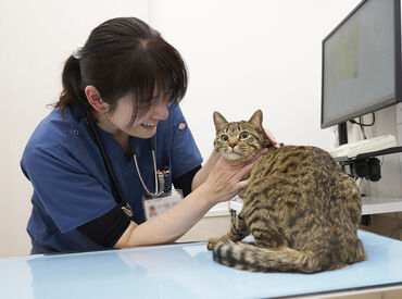 株式会社グリーンウェルネスサービス 草加みどり動物病院 ペットを飼っている方必見◎
動物用フードやグッズの社員割引あり！
週2日～OKで、家庭とも無理なく両立できます★