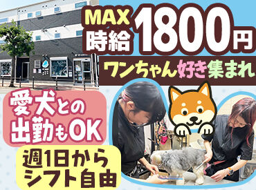 BE LARIMAR トリミング×保護犬活動♪
動物愛護に貢献できるサロンです！
週1日～・勤務時間の相談も◎