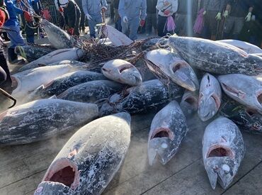 先輩みんな未経験からスタート★チームで協力して働くからフォロー体制もバッチリ!