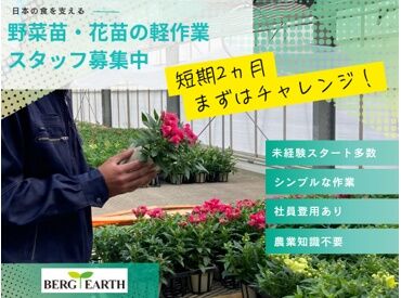 ＼専門知識はなくてOK！／
未経験の方も安心してご応募下さい★