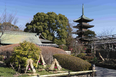 20~60代のスタッフさん活躍中!
年齢層も幅広いのでどの世代の方でもなじみやすい◎
気の合う新しい仲間に出会えるかも!?
