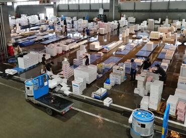 朝の中央卸売市場はこんな感じ！
ココでしか乗れないレアなモートラも♪
写真の指示に沿って、魚箱を仕分けしていただきます◎