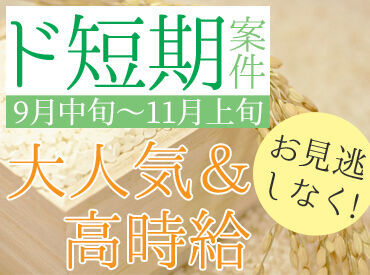 株式会社しらかわ米穀 学生、フリーター、主婦（夫）、シニアの方まで皆さん大歓迎！
Wワークや扶養内勤務も可能です◎