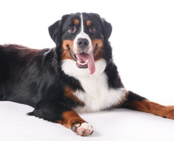 WATER LILY(ウォーターリリィ) 2025年12月新規オープンした
《ウォーターリリィ》で2職種募集♪
未経験からのスタートも大歓迎！