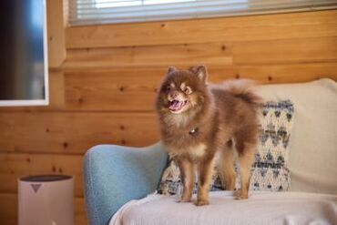 Solana伊豆高原 こちらは、系列の施設「Solana鴨川」です♪
2025年3月にSolana伊豆高原はオープン！
みんなと同時スタートです★